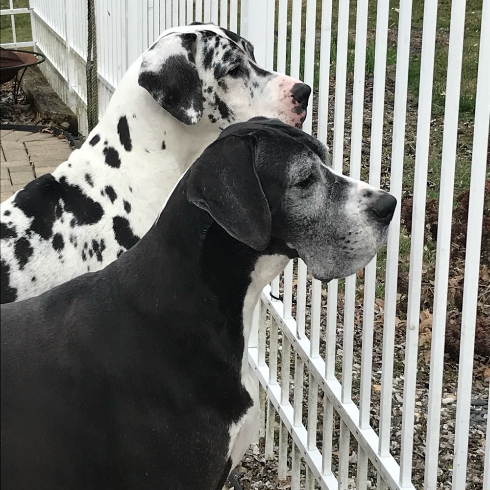 Meet your Posher, Michael